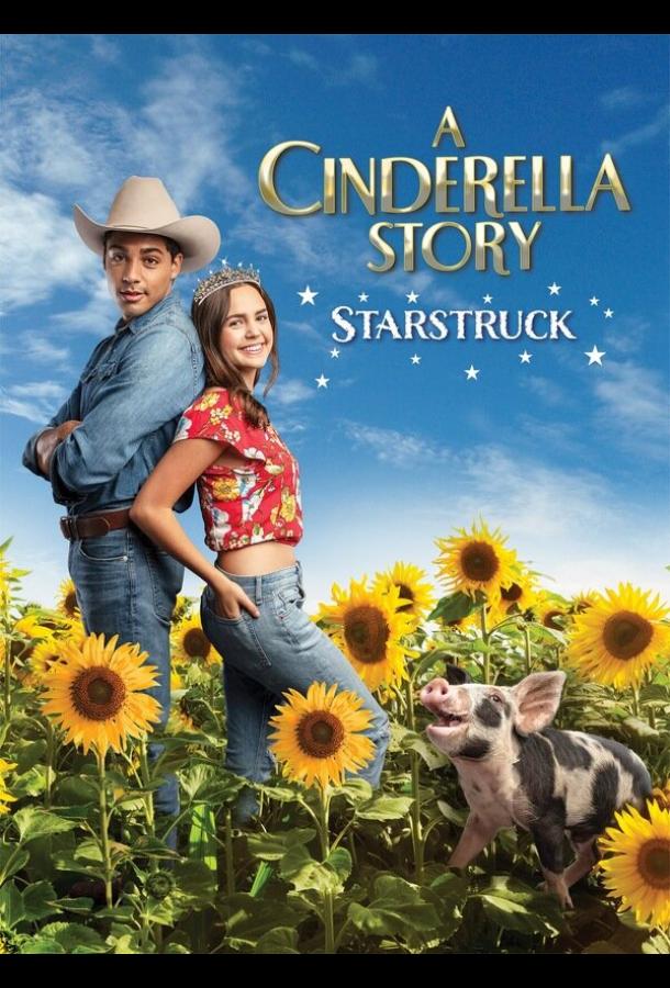 Смотреть История Золушки: К звездам